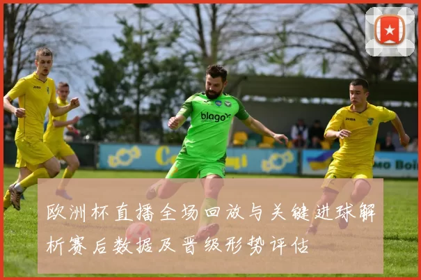 欧洲杯直播全场回放与关键进球解析赛后数据及晋级形势评估