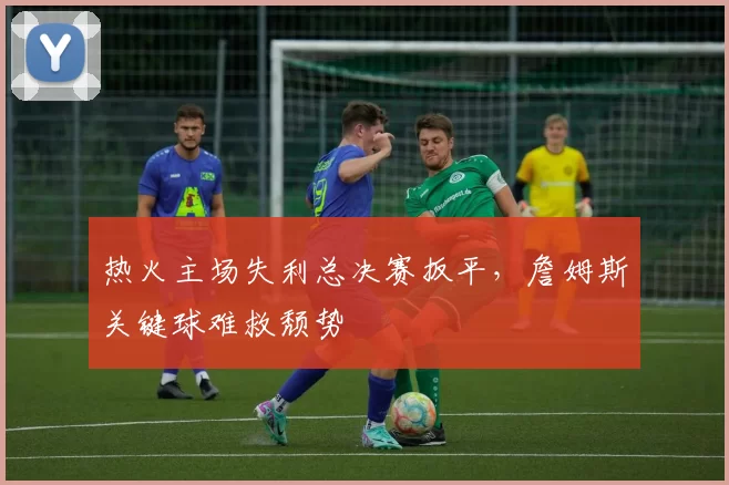 热火主场失利总决赛扳平，詹姆斯关键球难救颓势